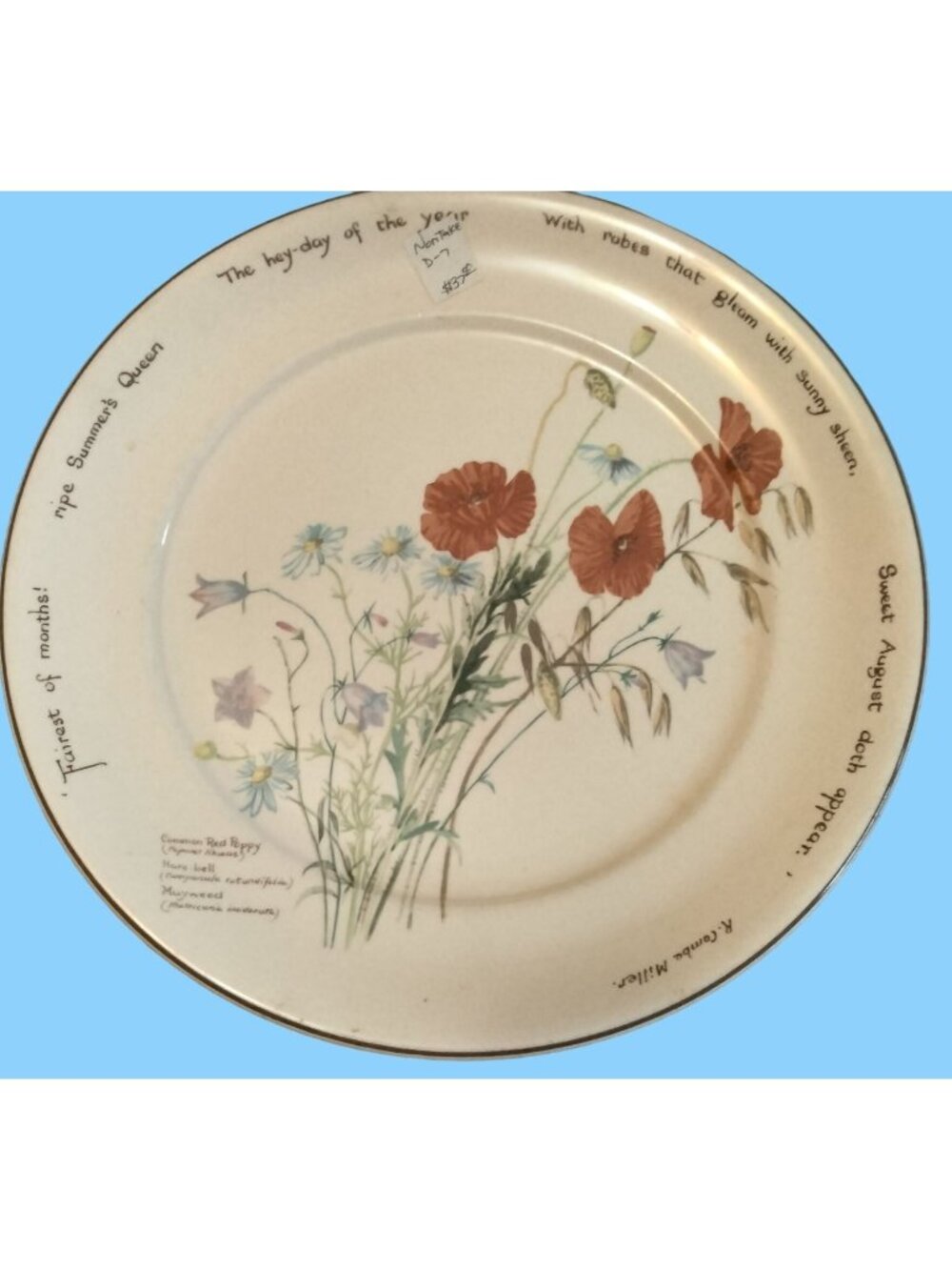 Noritake of Ireland Country Diary of An Edwardian